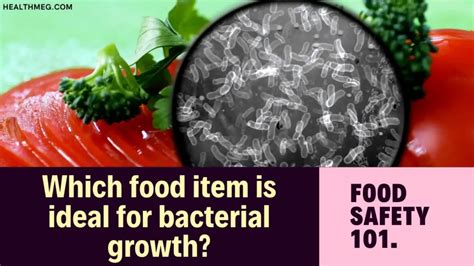 Which food item is ideal for bacterial growth quizlet. Things To Know About Which food item is ideal for bacterial growth quizlet. 